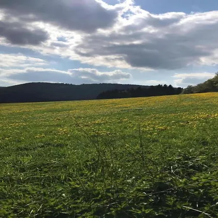 Comfortable In Neuastenberg Holiday home Winterberg
