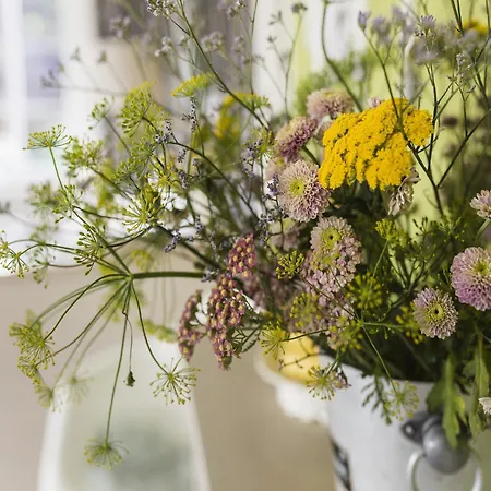 Mit Sauna In Winterberg