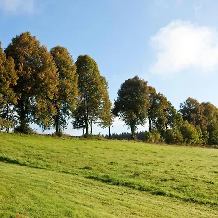 Winterberg Gruppenhaus Mit Sauna Ideal Fuer Familien & Freunde Σπίτι διακοπών Βίντερμπεργκ